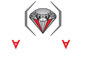 Diamondback Fighting Championship Logo